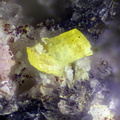n°166058 - Mangangordonite  Variscite - Massif des Alberes - Collioure - Pyrénées-Orientales