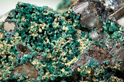 n°168040 - Malachite - Elisa (mine) - Mollau - Haut-Rhin