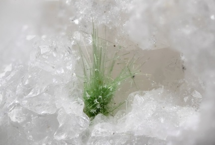 n°168050 - Zalesiite - Juno (haldes) - Zimmerbach - Haut-Rhin