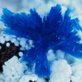 Azurite Alumohydrocalcite -  Valcroze - Alzon - Gard