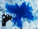 Azurite Alumohydrocalcite -  Valcroze - Alzon - Gard