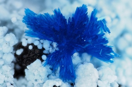 Azurite Alumohydrocalcite -  Valcroze - Alzon - Gard