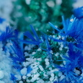 Azurite Alumohydrocalcite -  Valcroze - Alzon - Gard