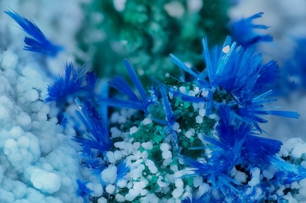 Azurite Alumohydrocalcite -  Valcroze - Alzon - Gard