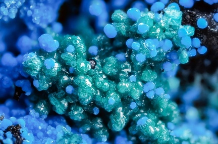 Brochantite  Carbonatecyanotrichite - Valcroze - Alzon - Gard