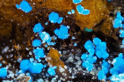 Carbonatecyanotrichite Alumohydrocalcite - Valcroze - Alzon - Gard