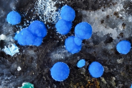 Carbonatecyanotrichite - Valcroze - Alzon - Gard