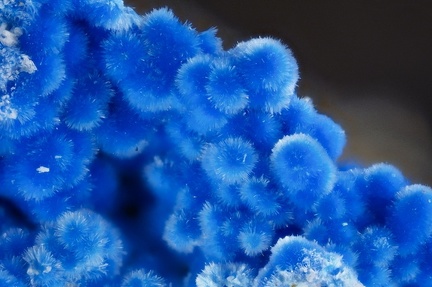 Carbonatecyanotrichite - Valcroze - Alzon - Gard