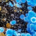 Cyanotrichite Plumbojarosite - Valcroze - Alzon - Gard