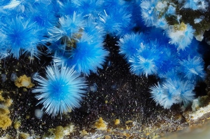 Cyanotrichite - Valcroze - Alzon - Gard