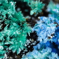 Malachite Carbonatecyanotrichite - Valcroze - Alzon - Gard