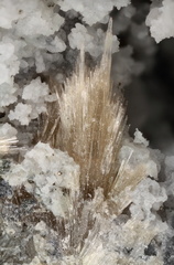 n°156040 - Pyromorphite - La Lande (carrière) - Plumelin - Morbihan