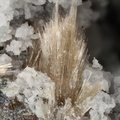 n°156040 - Pyromorphite - La Lande (carrière) - Plumelin - Morbihan