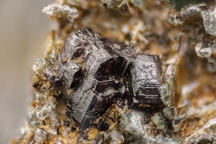 n°120021 - Perovskite - Marine di Farinole - Cap Corse - Haute-Corse