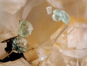 n°130067 -  Adamite -  Arrigas (mine)	- Arrigas - Gard