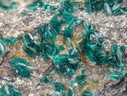 n°130068 - Brochantite -  Arrigas (mine) - Arrigas - Gard