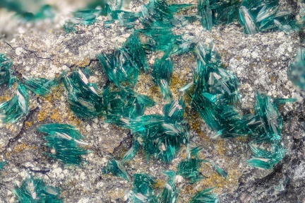 n°130068 - Brochantite -  Arrigas (mine) - Arrigas - Gard