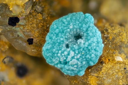 n°130069 - Rosasite - Arrigas (mine)	- Arrigas - Gard