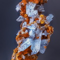 Scorodite -  Hemerdon Ball Mine -  Plymouth -  Devon - GB