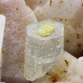n°107041 -  Fluorapatite - Mayres - Ardèche