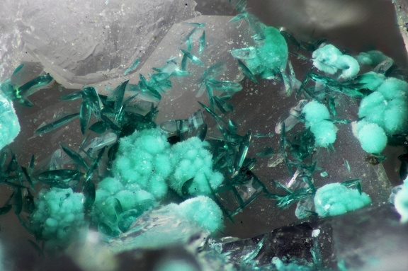 n°169083 -  Brochantite - Longefay (haldes mine) -Poule les Echarmeaux - Rhône