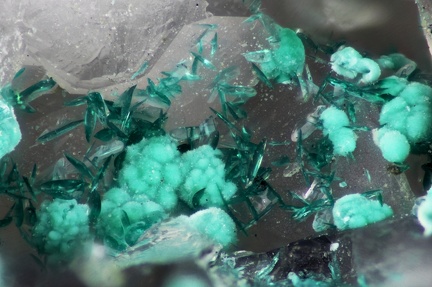 n°169083 -  Brochantite - Longefay (haldes mine) -Poule les Echarmeaux - Rhône