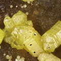 n°169086 - Mimetite - Longefay (haldes mine) -	Poule les Echarmeaux - Rhône