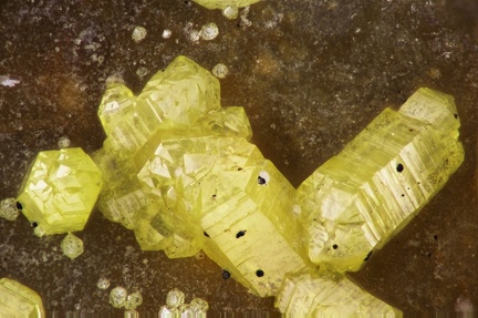 n°169086 - Mimetite - Longefay (haldes mine) -	Poule les Echarmeaux - Rhône