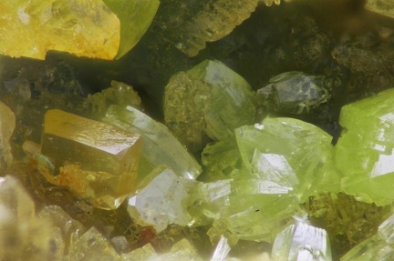 n°169087 - Wulfenite Pyromorphite - Longefay (haldes mine) -	Poule les Echarmeaux - Rhône