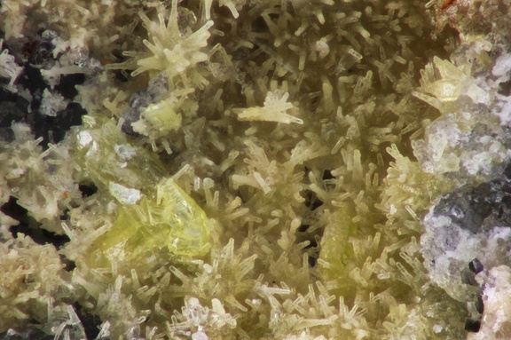 n°169089 - Wulfenite Pyromorphite - Bout du Monde (mine) - Le Perréon -Rhône