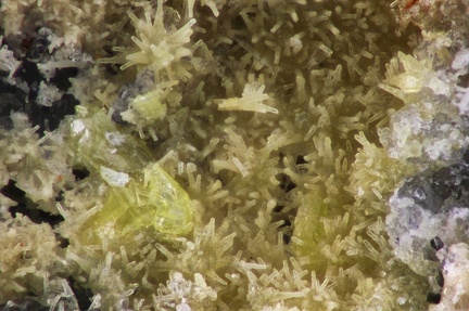 n°169089 - Wulfenite Pyromorphite - Bout du Monde (mine) - Le Perréon -Rhône
