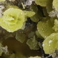 n°169091 -  Mimetite - Longefay (haldes mine) -	Poule les Echarmeaux - Rhône