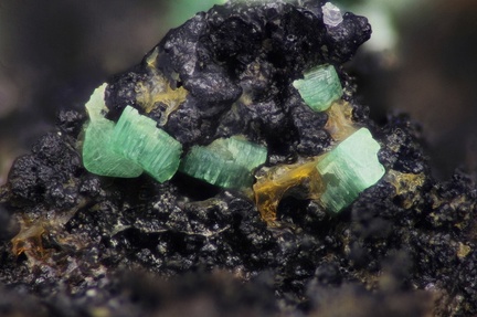 n°163147 - Torbernite - Bois des Fayes (mine ) - Grandrif et Baffie - Puy-de-Dôme