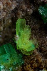 n°183115 (b) -  Autunite - Le Charbonnier (mine) - Les Adrets de l'Esterel - Var