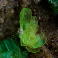 n°183115 (b) -  Autunite - Le Charbonnier (mine) - Les Adrets de l'Esterel - Var