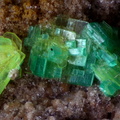n°183115 (a) - Torbernite  Autunite - Le Charbonnier (mine) - Les Adrets de l'Esterel - Var
