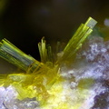 n°183112 -  Dewindtite - Le Charbonnier (mine) - Les Adrets de l'Esterel - Var