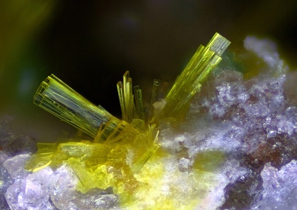 n°183112 -  Dewindtite - Le Charbonnier (mine) - Les Adrets de l'Esterel - Var