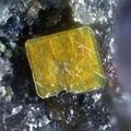 n°183113 - Meta-autunite - Le Charbonnier (mine) - Les Adrets de l'Esterel - Var
