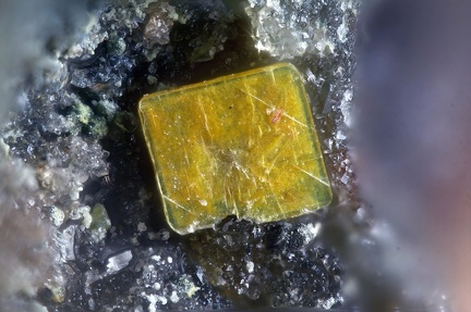 n°183113 - Meta-autunite - Le Charbonnier (mine) - Les Adrets de l'Esterel - Var