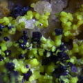 n°183114 - Phosphuranylite - Le Charbonnier (mine) - Les Adrets de l'Esterel - Var