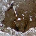 n°183111 - Goethite - Le Charbonnier (mine) - Les Adrets de l'Esterel - Var