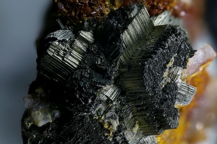 n°183104 -  Marcasite - Maraval (vallon) - Les Adrets de l'Esterel - Var