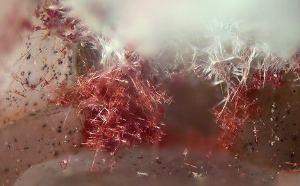 Cuprite Caledonite - Longefay - Poule les Echarmeaux - Rhône