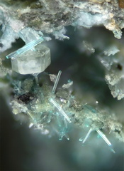 Leadhillite Caledonite - Longefay - Poule les Echarmeaux - Rhône