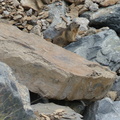 AFM - Rhône-Alpes - sortie Oisans