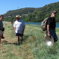 Batée au bord du Rhône