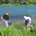Batée au bord du Rhône
