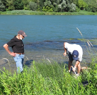 Batée au bord du Rhône