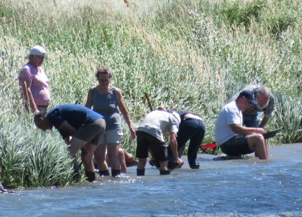 Batée au bord du Rhône
